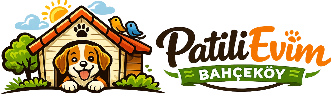 Site Logosu