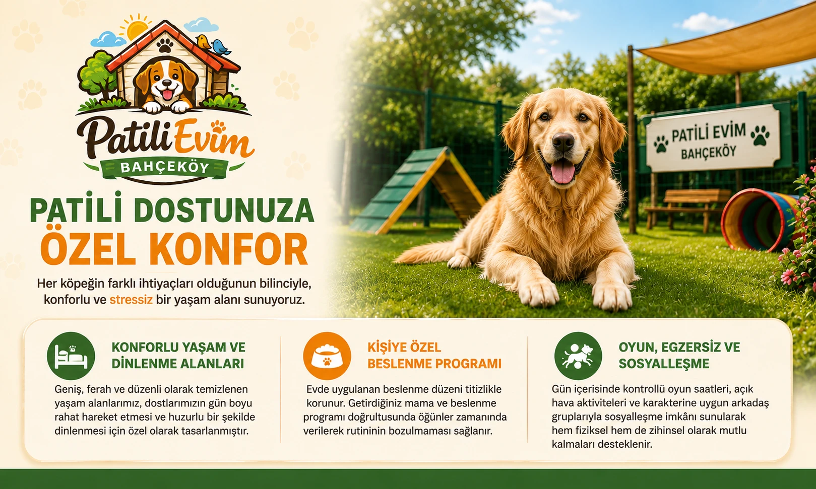 Patili Dostunuza Özel Konfor ait görsel