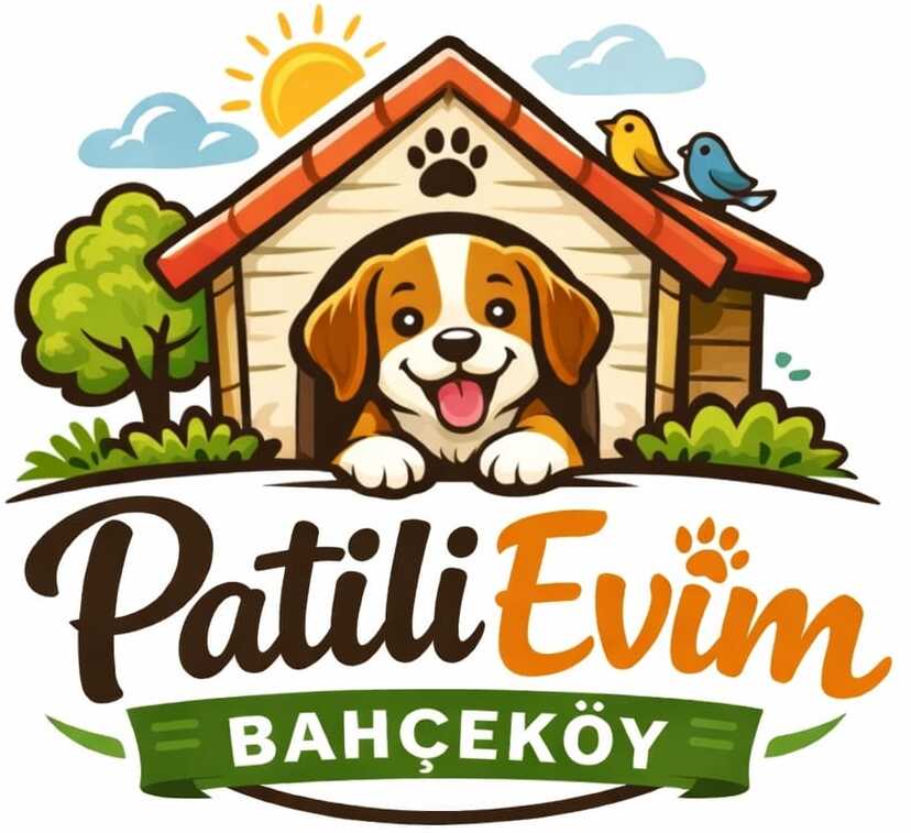 <marquee>  Konfor ve sevgi bir arada – Patilievim.com ile patili dostlarınız için güvenli, huzurlu ve konforlu bir konaklama deneyimi </marquee>